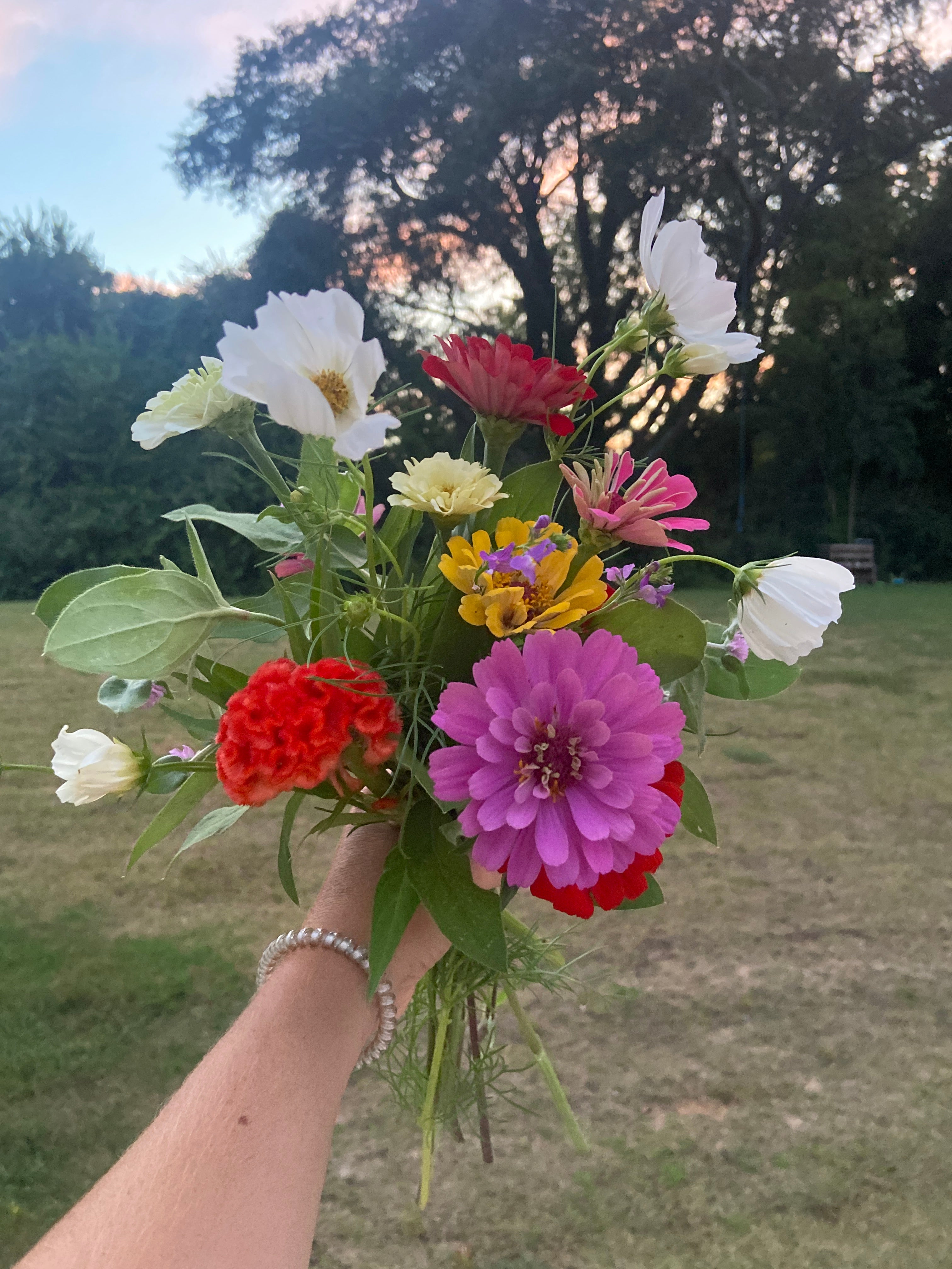 Summer Flower Subscription 2026